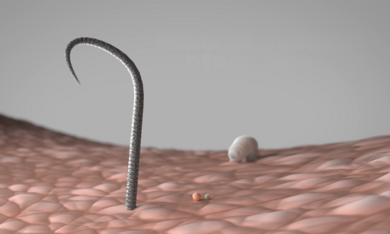 Desafios microbianos