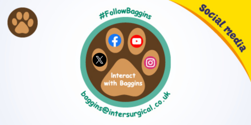 explore-Baggins-the-Bear-images-social-media