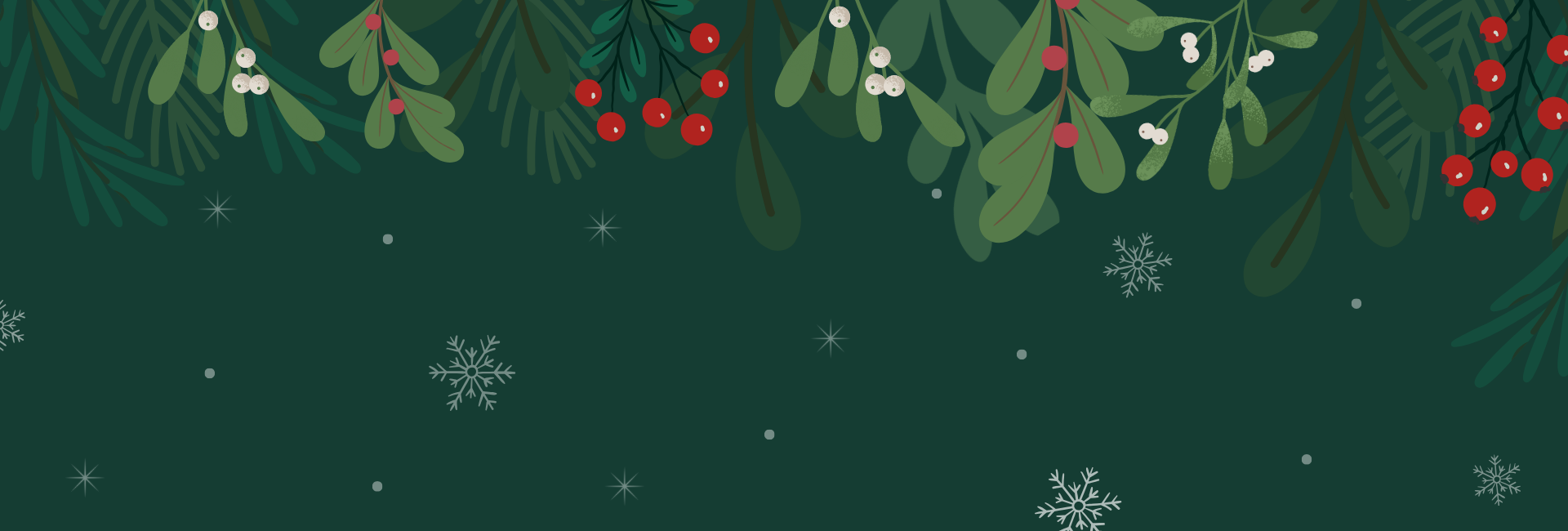 Boas Festas e Feliz Ano Novo