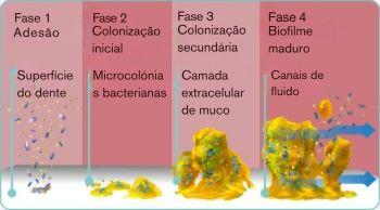 PT-explore-image-oral-care-vap-facts-1.jpg
